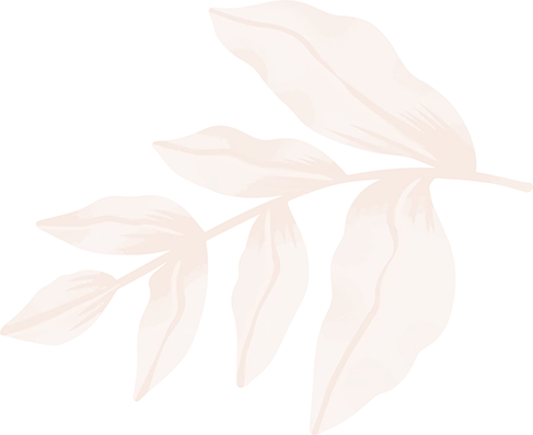 Decorative slide shape