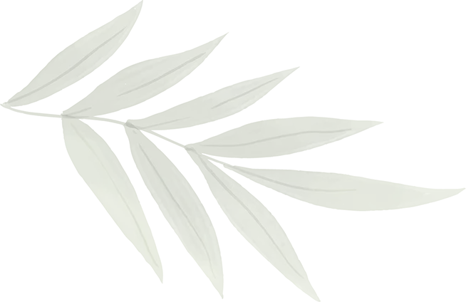 Decorative corner shape