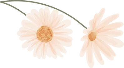 Decorative ribbon shape