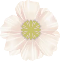 Decorative right-side shape